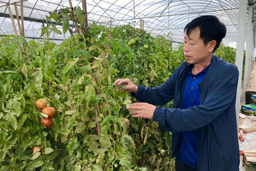 微信图片_20241022154105.jpg