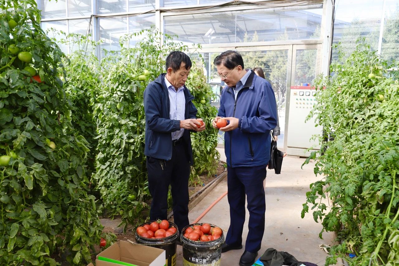 【古检动态】古交市人民检察院党组书记、检察长马晖走近致富带头人——成拉旺